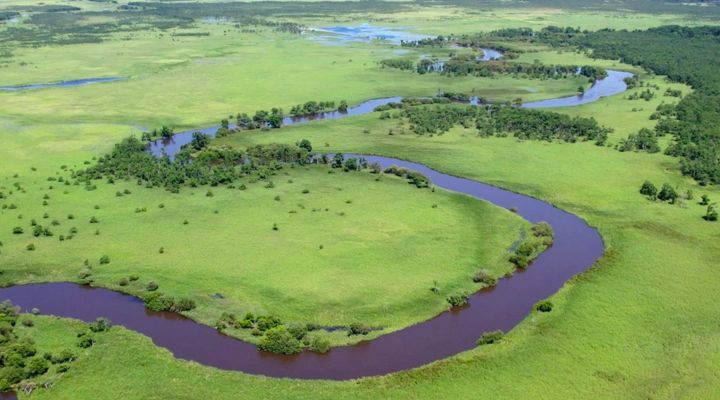vast nature of Kushiro Shitsugen