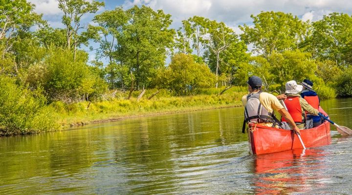 Canoeing in the Kushiro Wetlands