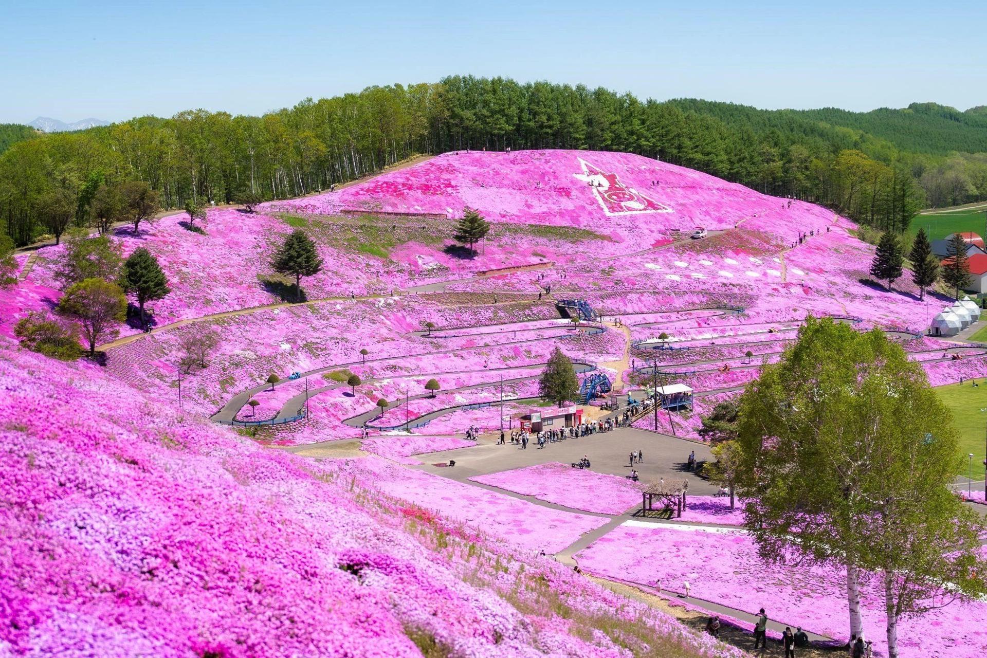 Higashimokoto Shibazakura Park