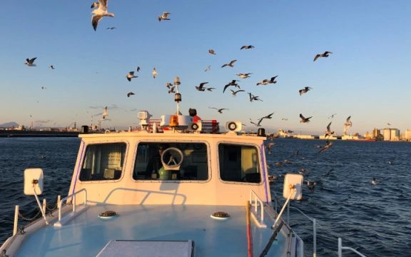 Sunset cruise scenery