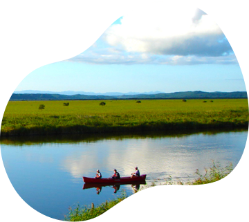 Kushiro Wetlands