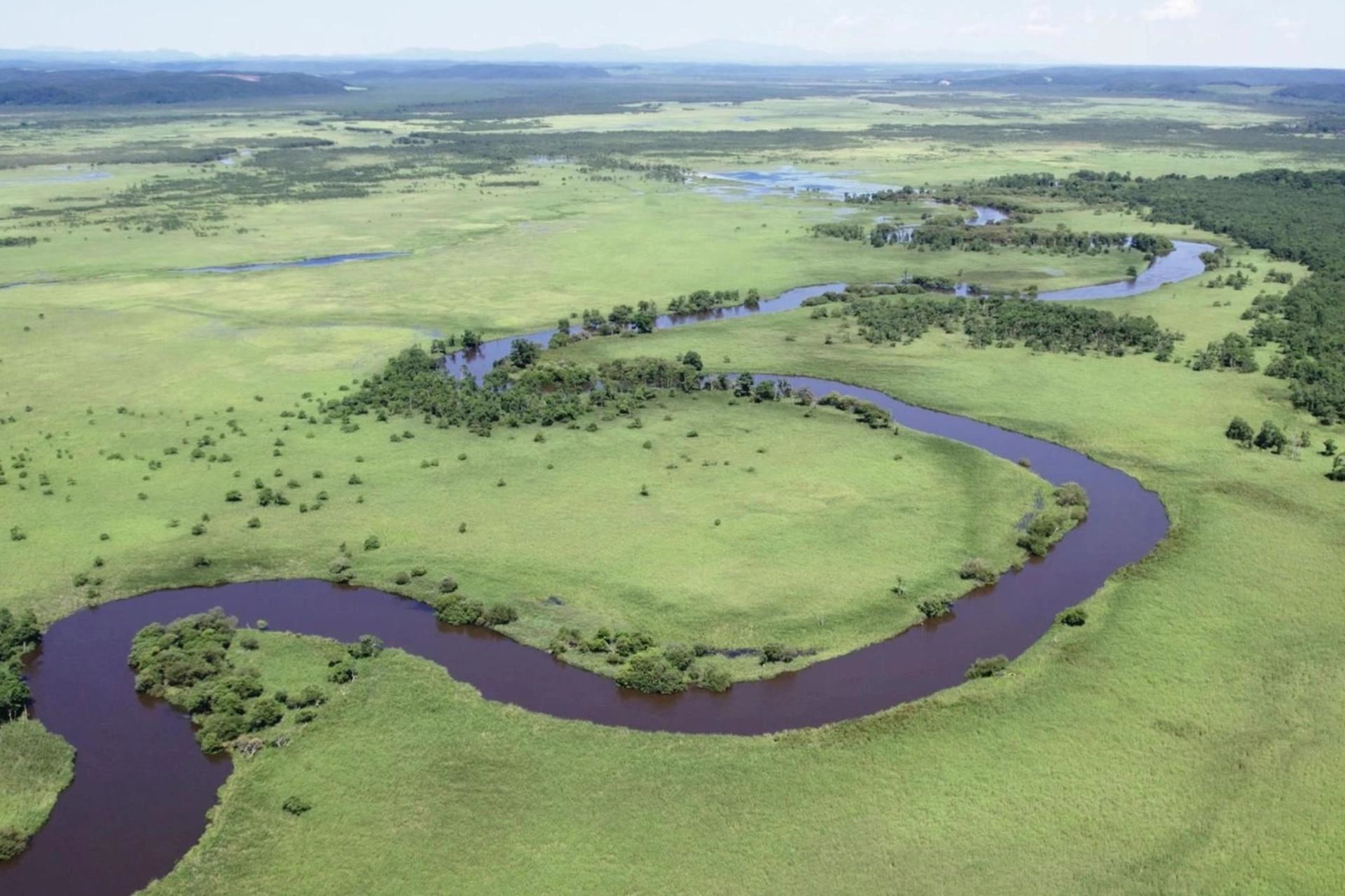 Kushiro Wetlands in Summer