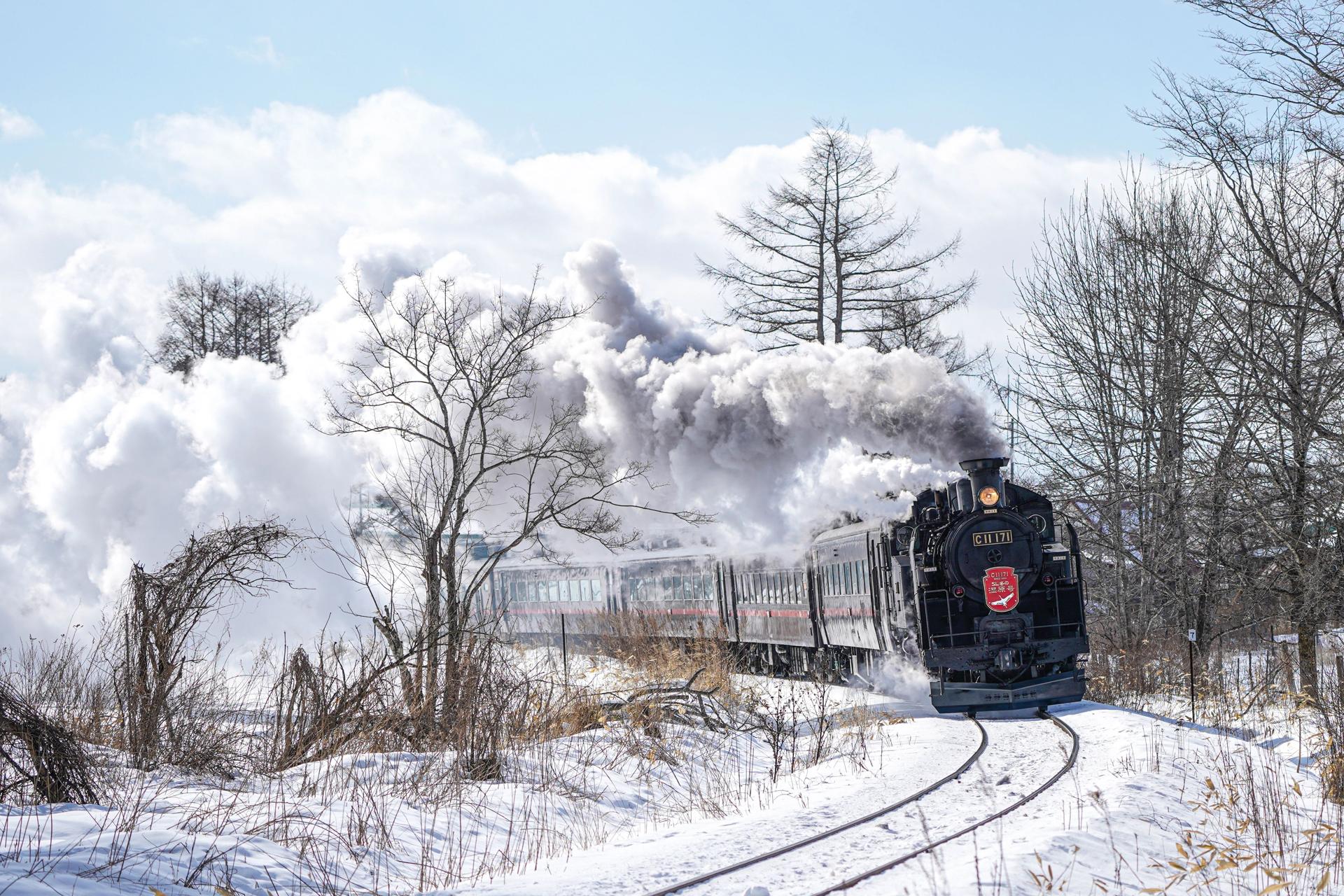 Winter Wetland Steam Locomotive