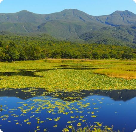 Shiretoko Goko Lakes (Shiretoko Five Lakes)