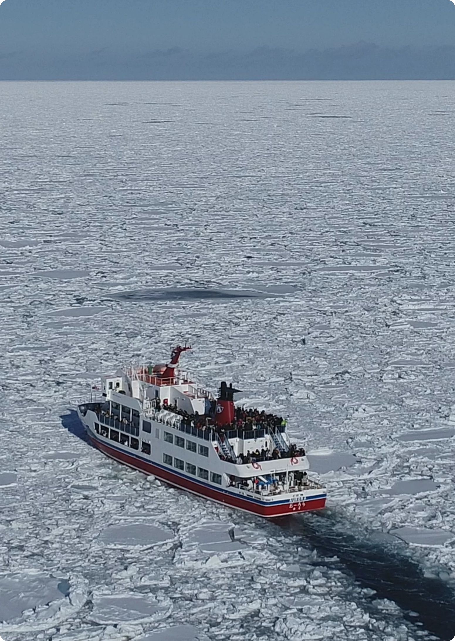 The icebreaker Aurora advances while crushing the drift ice.