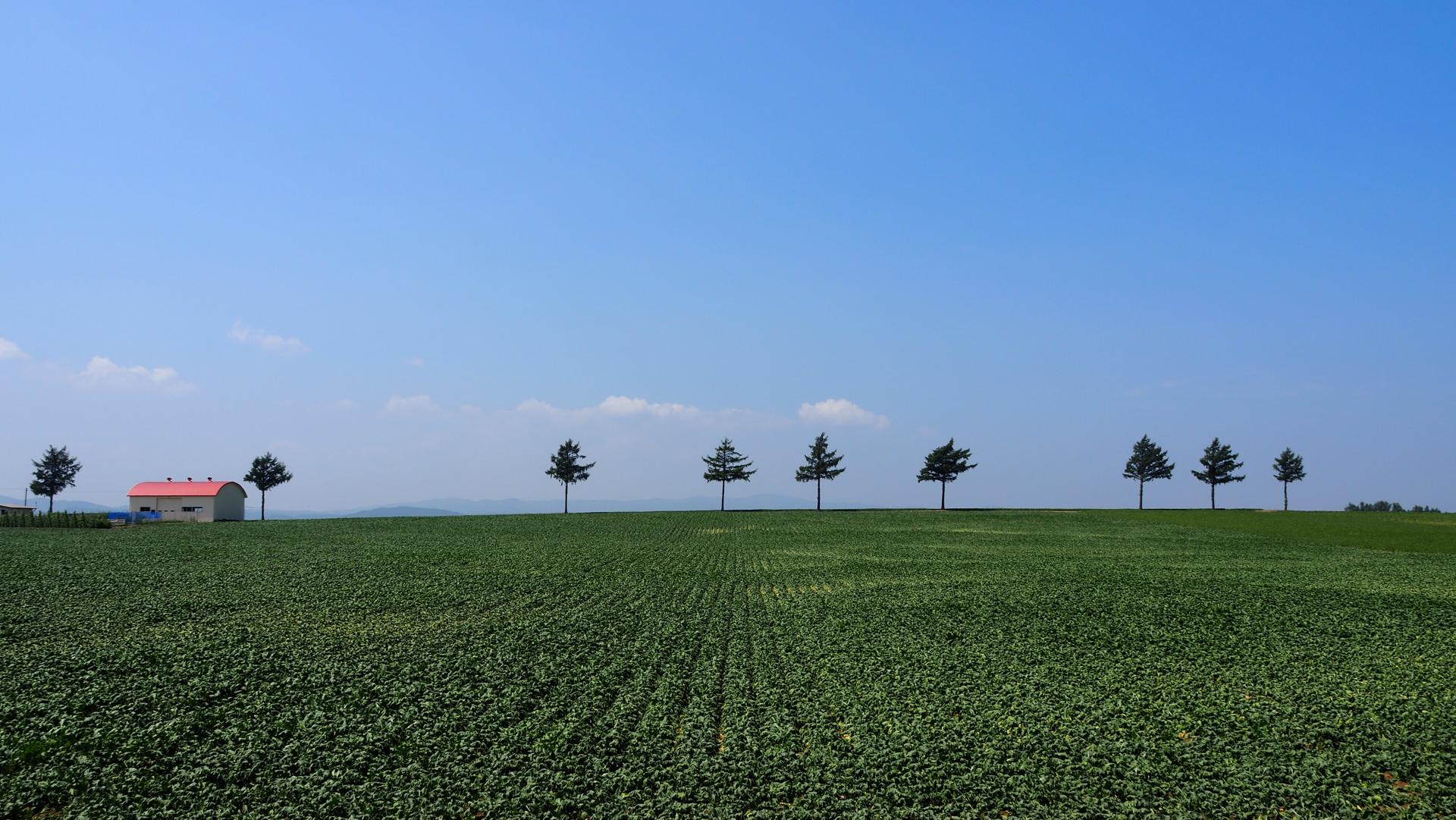 童话之丘（メルヘンの丘）