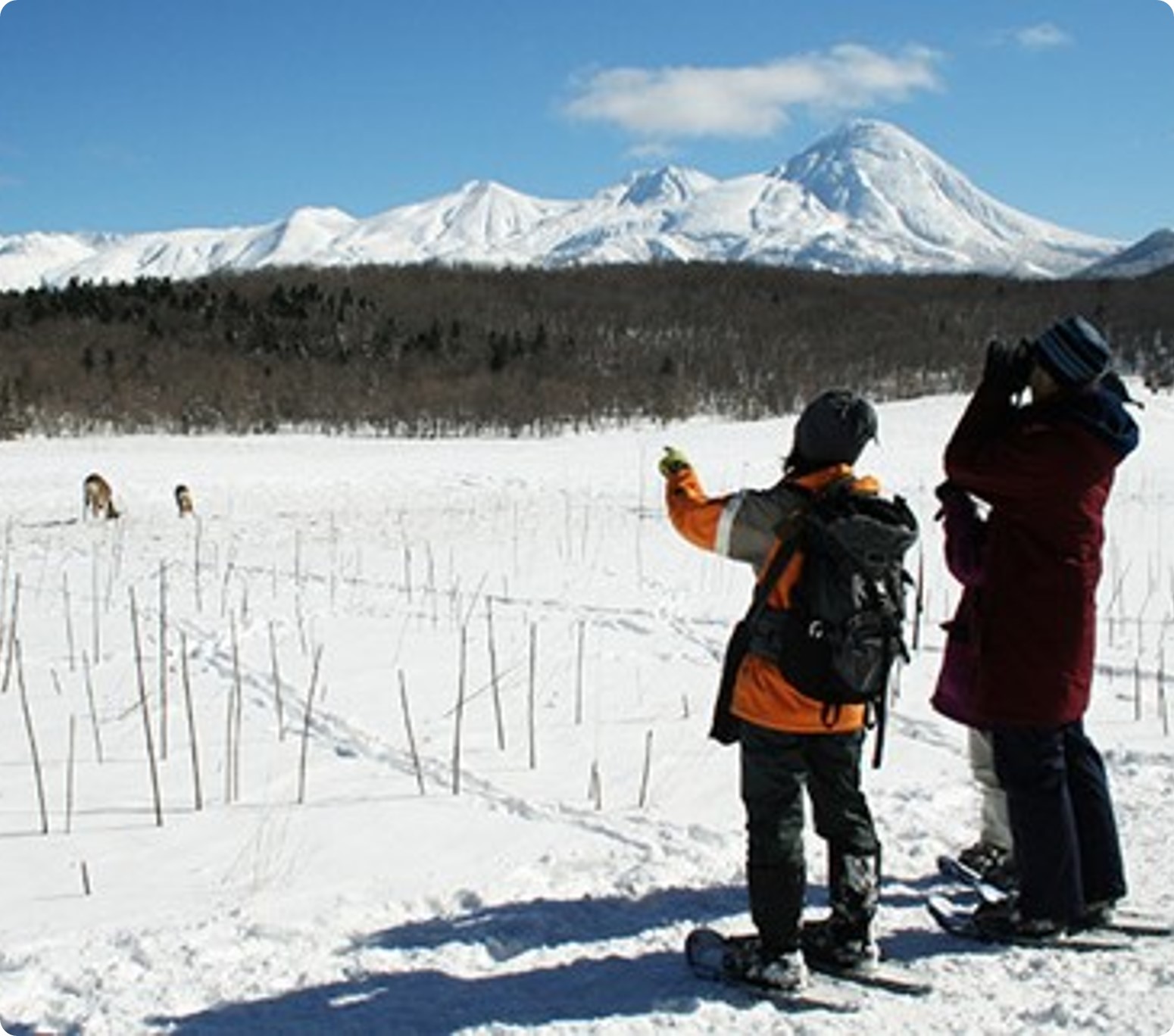 Furepe 瀑布雪鞋徒步 (Furepe フレペの滝)